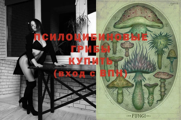 дурь Алексеевка